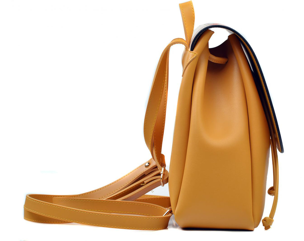 Backpack CAN2603